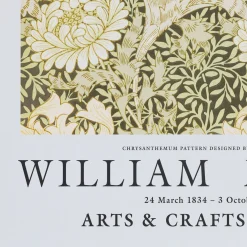 Affiche chrysanthèmes 50x70cm - vert garrigue