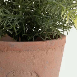 Asparagus artificiel H22,5cm - vert