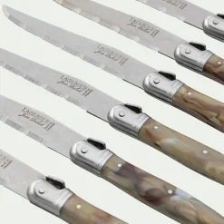 Bloc de 6 couteaux à steak en inox - argenté