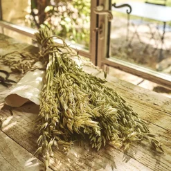 Botte d'avoine séchées 50cm - blanc