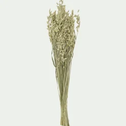 Botte d'avoine séchées 50cm - blanc