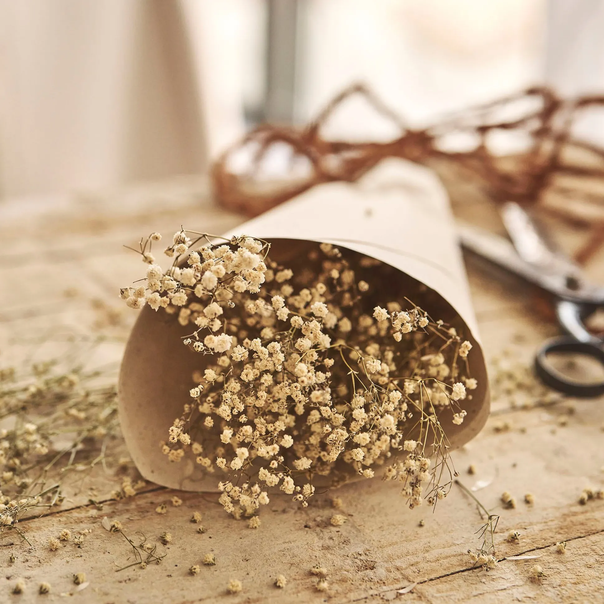 Botte de gypsophiles séchées 50cm - blanc