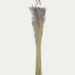 Botte de lavande séchée 35cm - bleu