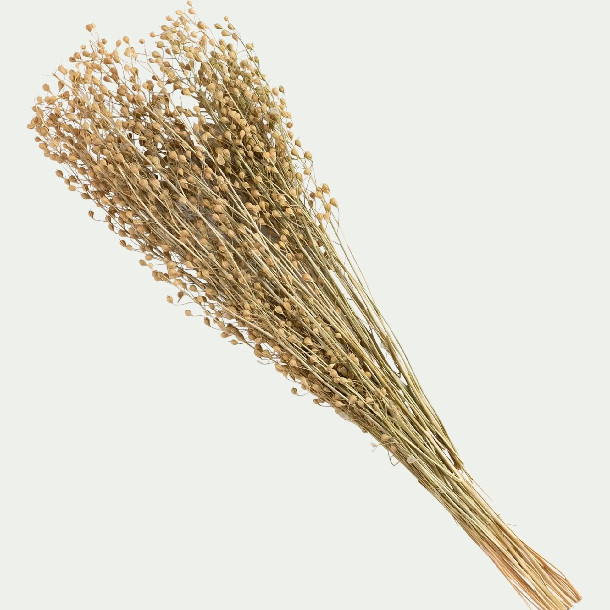 Botte de Passerages séchées H55cm - jaune