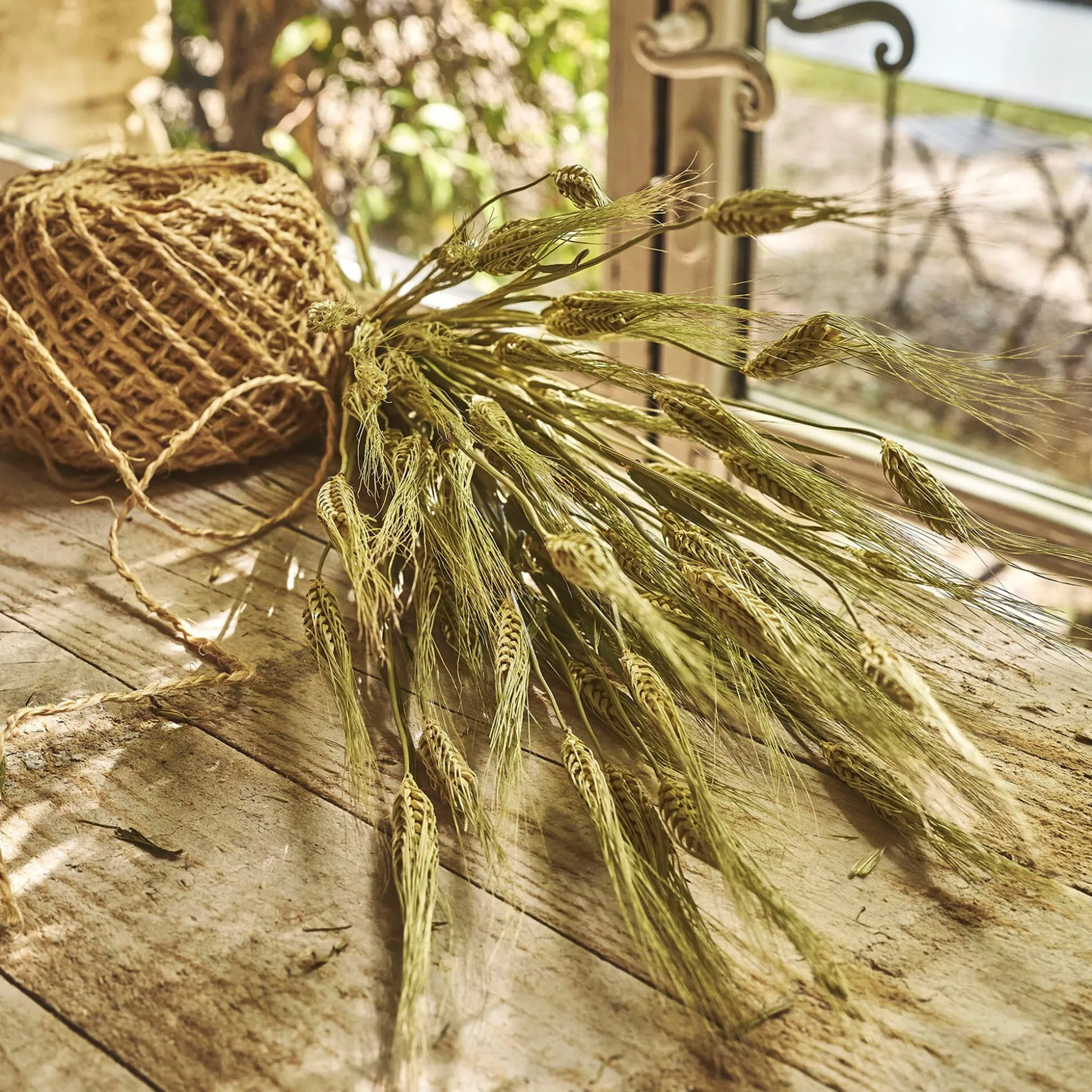 Botte d'orge sechée 55cm - naturel