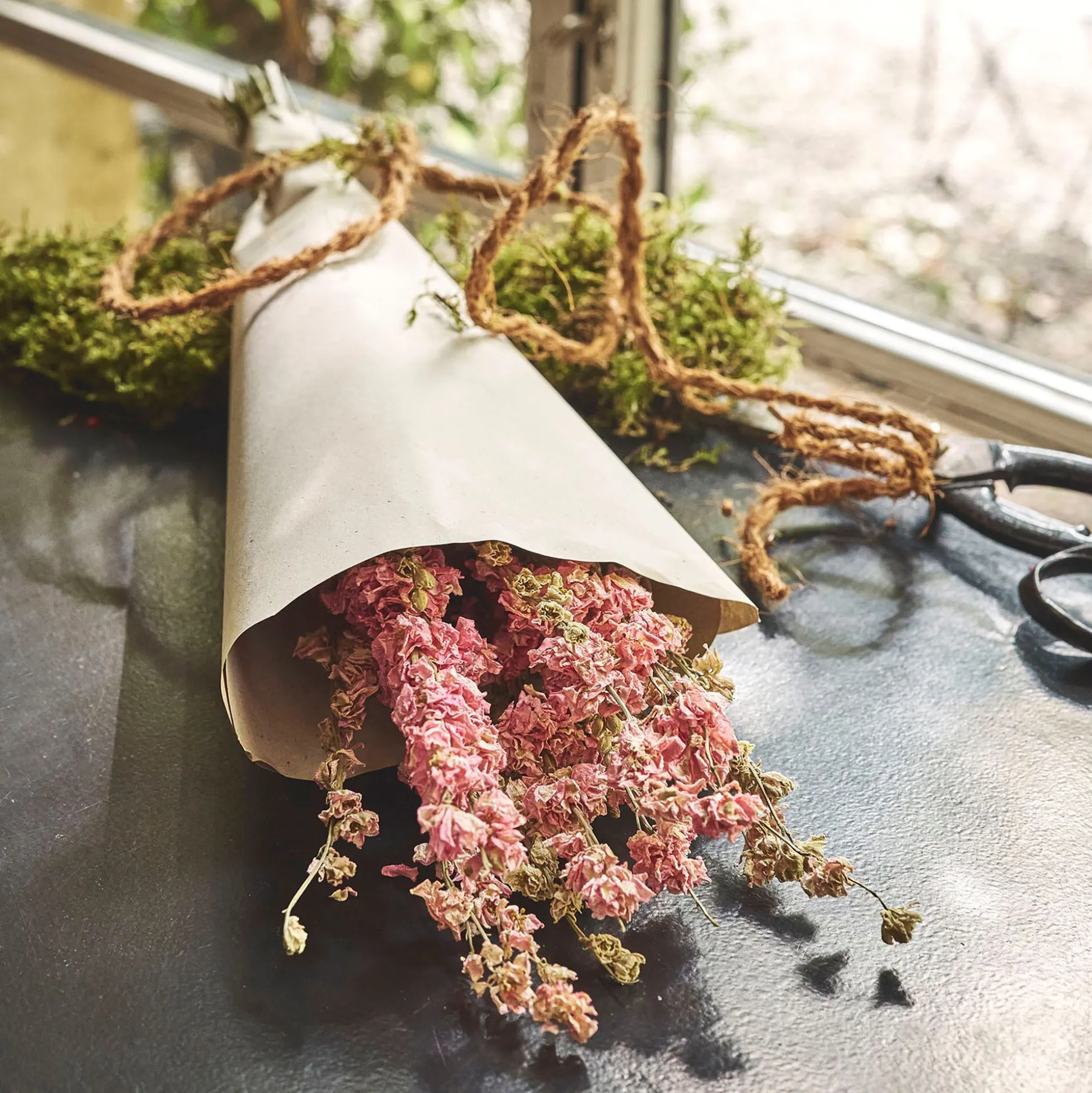 Bottes de dauphinelles séchées 55cm - rose