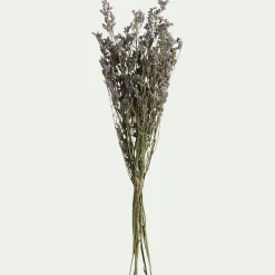 Bottes de saladelles sinuées séchées 55cm - violet