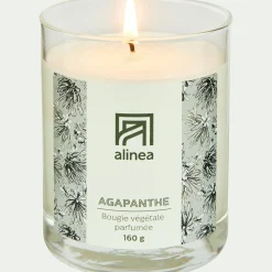 Bougie parfumée senteur Agapanthe 160g