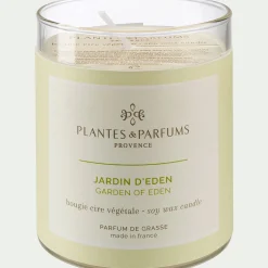 Bougie parfumée senteur Jardin d'Eden 180g