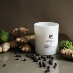 Bougie parfumée senteur pique nique Calanques 160g