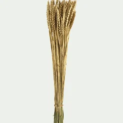 Bouquet de blé séché H55cm - doré