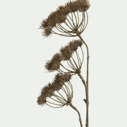 Branche d'Heracleum artificielle H109 - marron