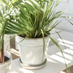 Cache-pot et sa coupelle en céramique D23cm - blanc cassé