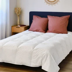 Couette tempérée en duvet et plumettes de canard 240x220cm - blanc