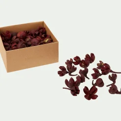 Déco végétale fruits secs - rouge