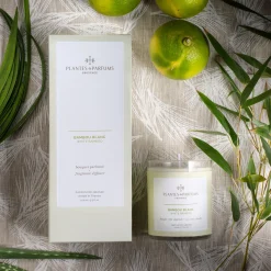 Diffuseur de parfum senteur Bambou Blanc 100ml