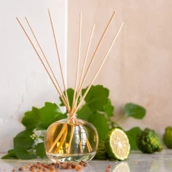 Diffuseur de parfum senteur Ambre Intense 100ml