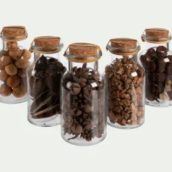 Flacon déco végétaux séchés - transparent (modèle aléatoire)