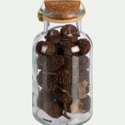 Flacon déco végétaux séchés - transparent (modèle aléatoire)