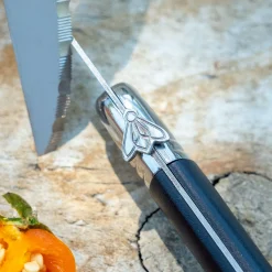 Lot de 6 couteaux à steak en inox - noir