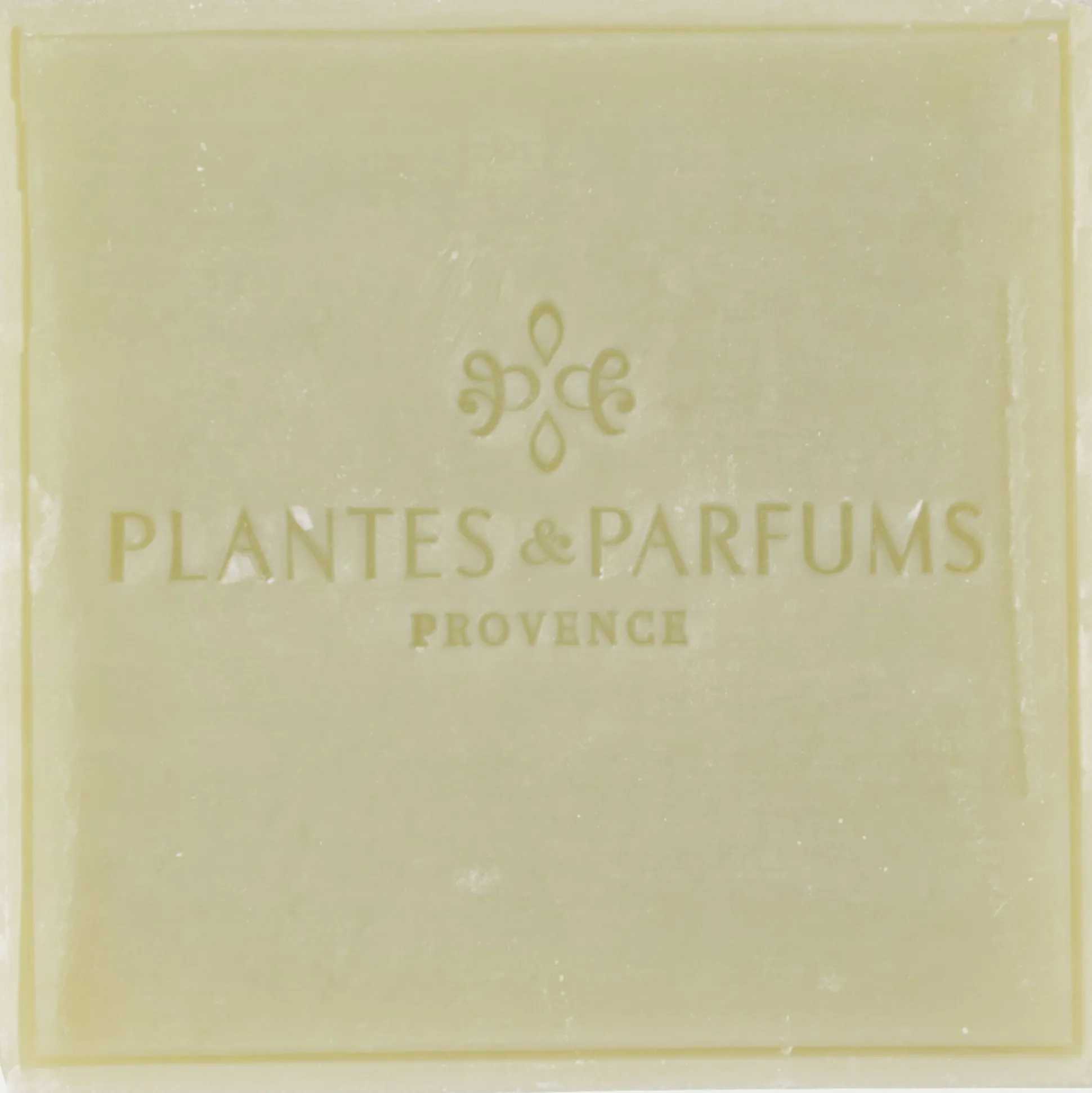 Lot de 2 savons de Marseille à l'aloe vera bio senteur verveine 100g