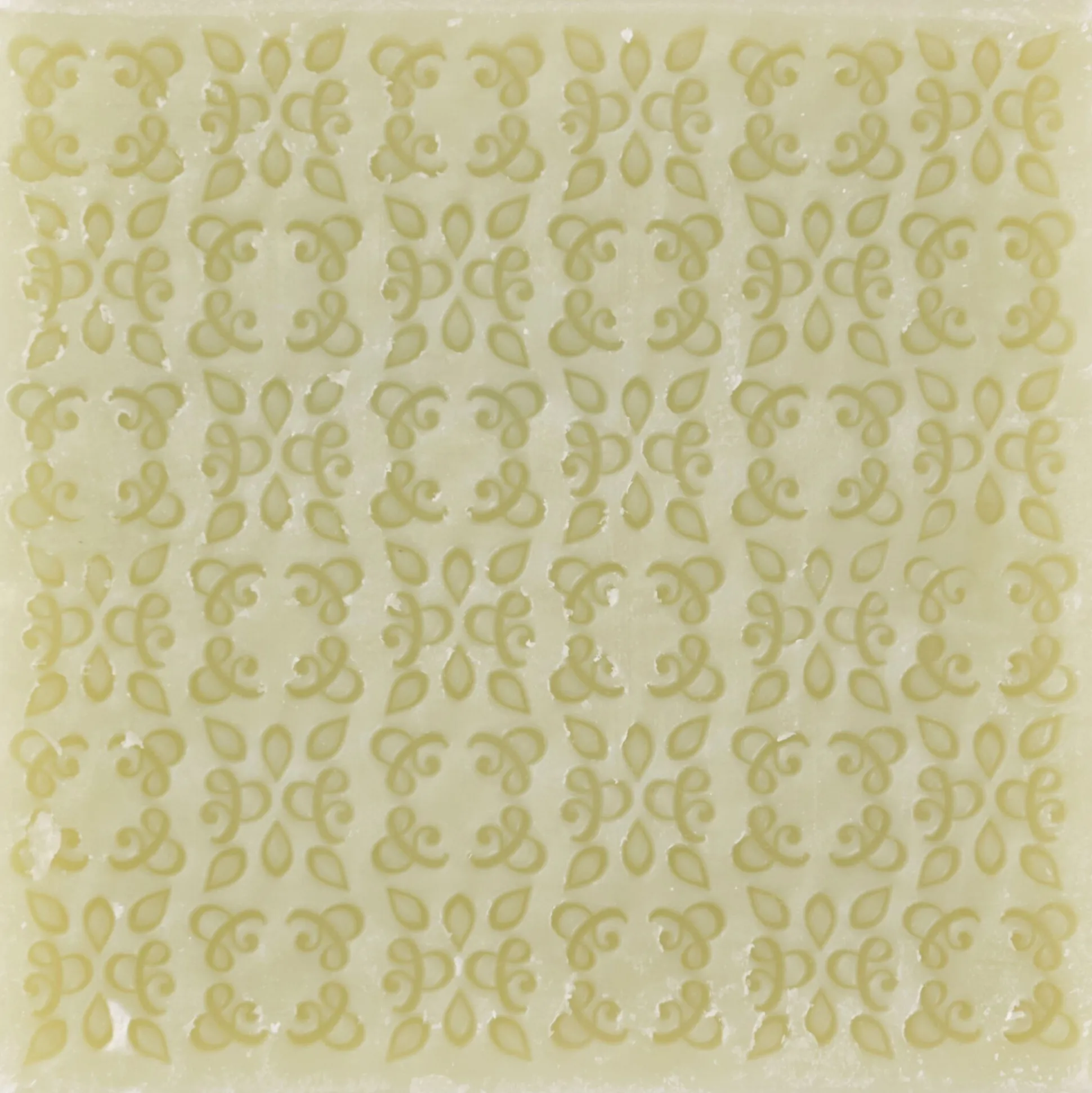 Lot de 2 savons de Marseille à l'aloe vera bio senteur verveine 100g