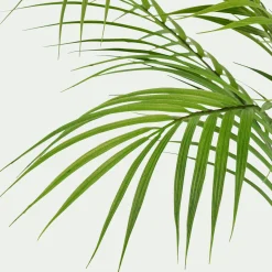 Palmier artificiel H75cm - vert
