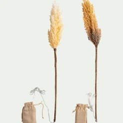 Pampa LED électrique H70cm - beige (modèle aléatoire)