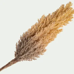 Pampa LED électrique H70cm - beige (modèle aléatoire)