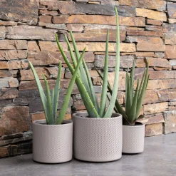 Plante artificielle aloe - vert H52cm