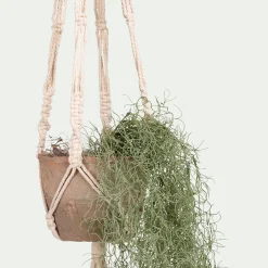 Plante tillandsia artificielle tombante avec pot suspendu H130cm - vert