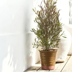 Pot bicolore en terre cuite D29cm - jaune