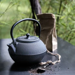 Théière en fonte - noir 1,20L